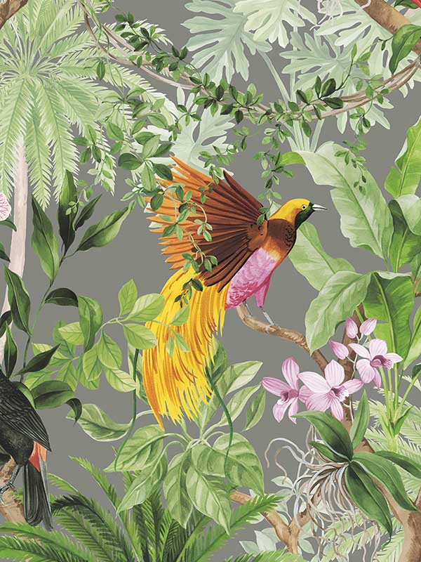 Tropical Bird Peel and Stick wallpaper in grey color - pattern number HG10908 - by NextWall in the Peel and Stick Wallpaper by Harry and Grace 2 collection