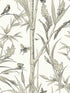 Bambou Toile fabric in white color - pattern number RT7836 - by York in the Toiles Resource Library collection