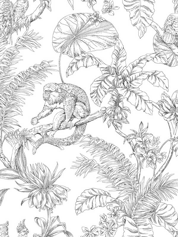 Tropical Sketch Toile fabric in black color - pattern number RT7841 - by York in the Toiles Resource Library collection