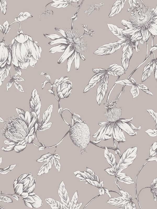 Passion Flower Toile wallpaper in orchid color - pattern number RT7851 - by York in the Toiles Resource Library collection