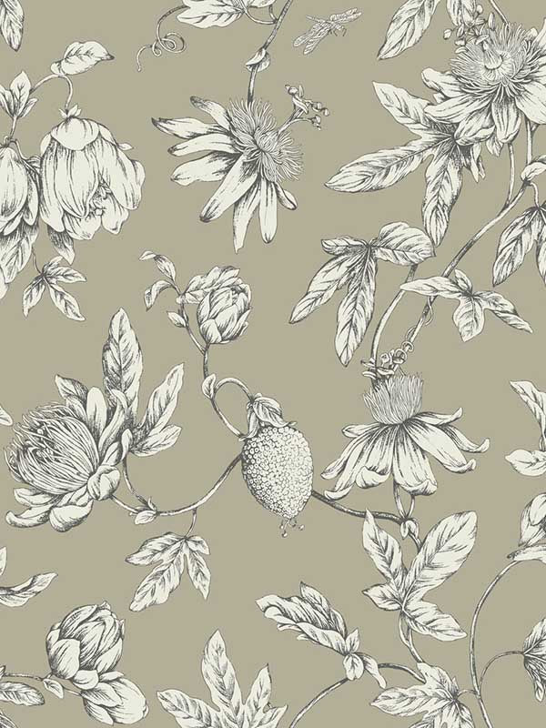 Passion Flower Toile wallpaper in linen color - pattern number RT7852 - by York in the Toiles Resource Library collection