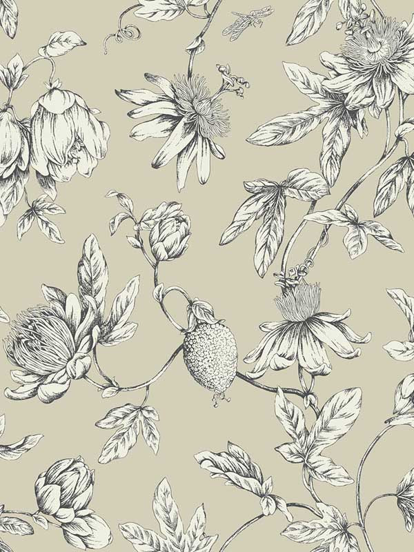 Passion Flower Toile wallpaper in beige color - pattern number RT7854 - by York in the Toiles Resource Library collection
