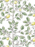 Limoncello Toile fabric in green color - pattern number RT7911 - by York in the Toiles Resource Library collection