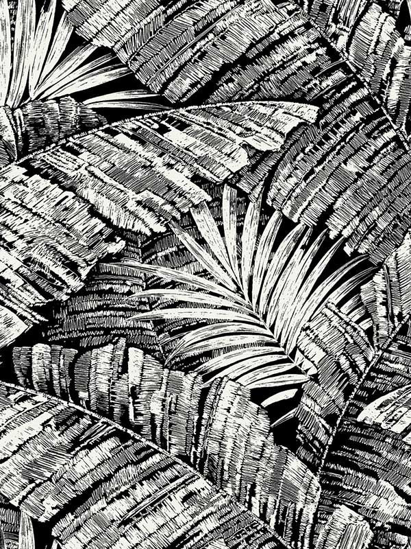 Palm Cove Toile wallpaper in white and black color - pattern number RT7921 - by York in the Toiles Resource Library collection