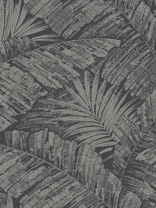 Palm Cove Toile wallpaper in silver and black color - pattern number RT7923 - by York in the Toiles Resource Library collection
