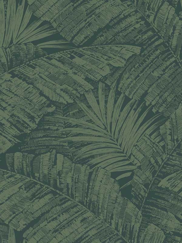 Palm Cove Toile wallpaper in emerald forest color - pattern number RT7924 - by York in the Toiles Resource Library collection