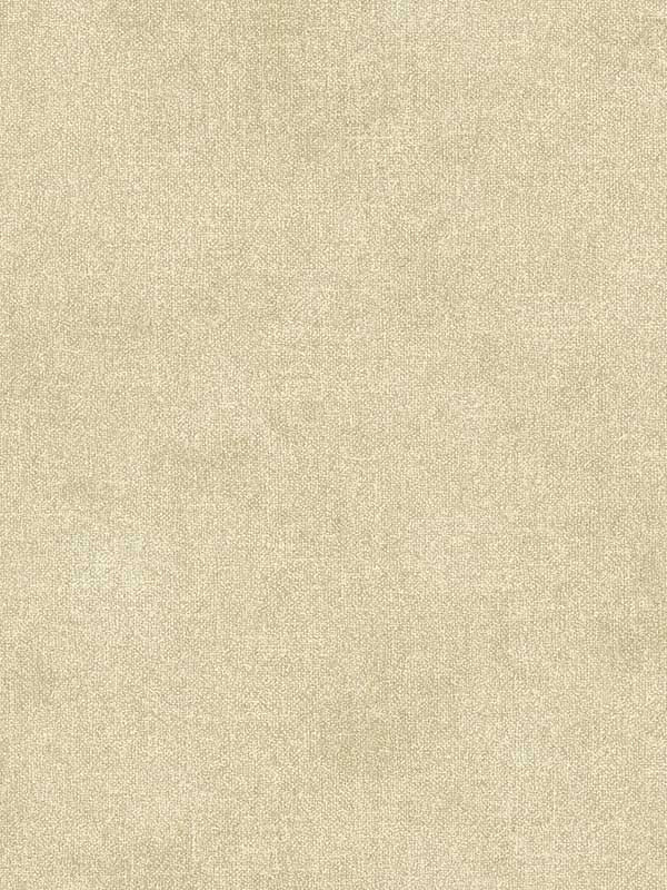 Homespun Textured wallpaper in light brown color - pattern number 3125-72358 - by Chesapeake in the Kinfolk collection