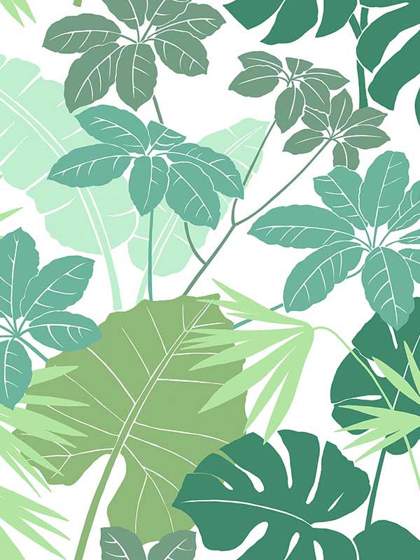 Medellin Rainforest Floor wallpaper in green color - pattern number 4122-72409 - by A Street Prints in the Terrace collection