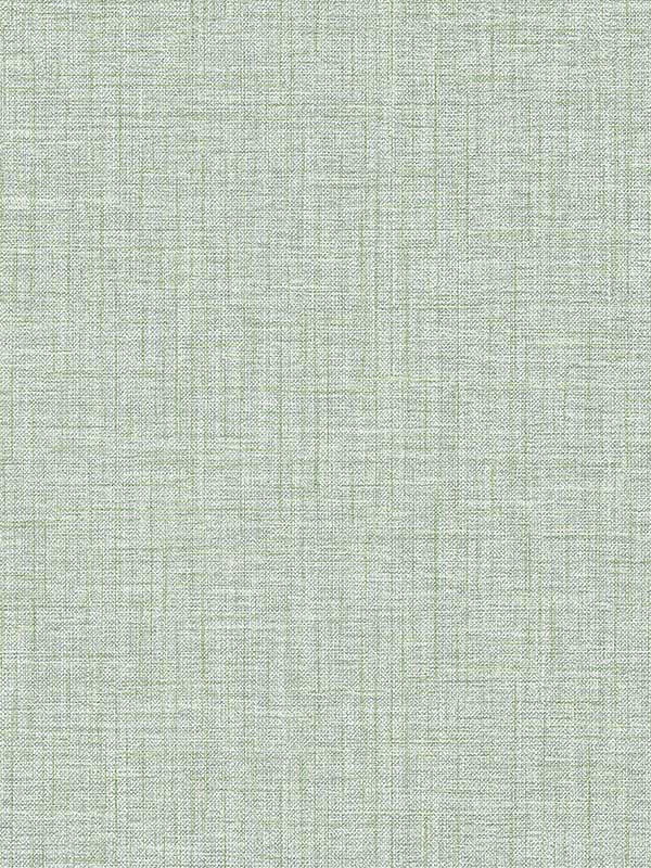 Lanister Texture wallpaper in green color - pattern number 4157-26235 - by Advantage in the Curio Advantage collection