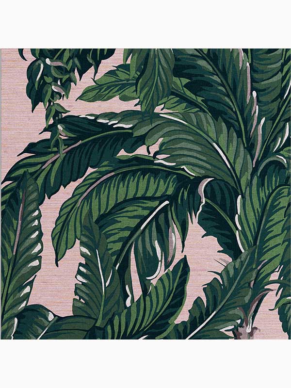 Daintree Palm Tropical wallpaper in blush pink and green color - pattern number 112018 - by Graham and Brown in the Graham and Brown Collection collection