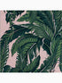 Daintree Palm Tropical wallpaper in blush pink and green color - pattern number 112018 - by Graham and Brown in the Graham and Brown Collection collection
