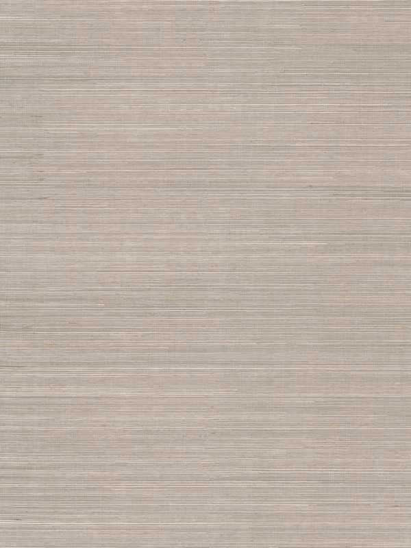Maguey Sisal fabric in classic grey color - pattern number DE8994NW - by Ronald Redding in the Grasscloth and Natural Resource collection