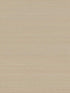 Abaca Weave fabric in beige color - pattern number GL0501GV - by Ronald Redding in the Grasscloth and Natural Resource collection