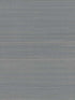 Abaca Weave fabric in blue color - pattern number GL0503GV - by Ronald Redding in the Grasscloth and Natural Resource collection