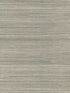 Maguey Sisal fabric in charcoal color - pattern number GR1044NW - by Ronald Redding in the Grasscloth and Natural Resource collection
