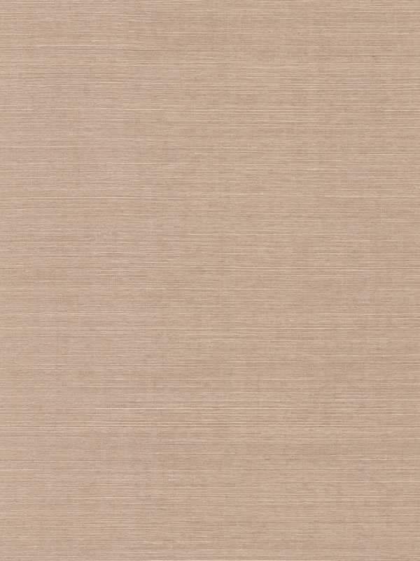 Maguey Sisal fabric in fawn color - pattern number GV0104NW - by Ronald Redding in the Grasscloth and Natural Resource collection