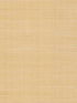 Maguey Sisal fabric in gold color - pattern number GV0111NW - by Ronald Redding in the Grasscloth and Natural Resource collection