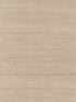 Maguey Sisal fabric in beige color - pattern number GV0136NW - by Ronald Redding in the Grasscloth and Natural Resource collection
