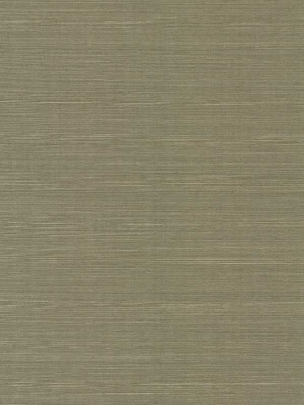 Maguey Sisal fabric in fern color - pattern number GV0145NW - by Ronald Redding in the Grasscloth and Natural Resource collection