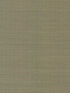 Maguey Sisal fabric in fern color - pattern number GV0145NW - by Ronald Redding in the Grasscloth and Natural Resource collection