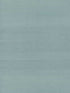 Maguey Sisal fabric in dragonfly color - pattern number GV0153NW - by Ronald Redding in the Grasscloth and Natural Resource collection