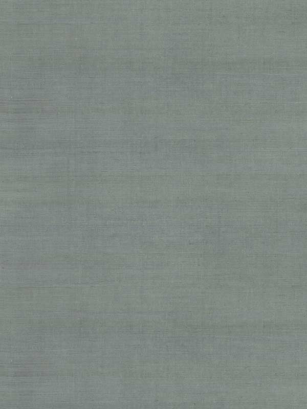 Maguey Sisal fabric in mineral color - pattern number GV0169NW - by Ronald Redding in the Grasscloth and Natural Resource collection