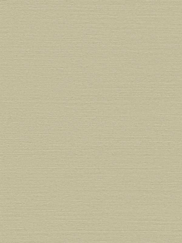 Maguey Sisal fabric in hay color - pattern number GV0174NW - by Ronald Redding in the Grasscloth and Natural Resource collection