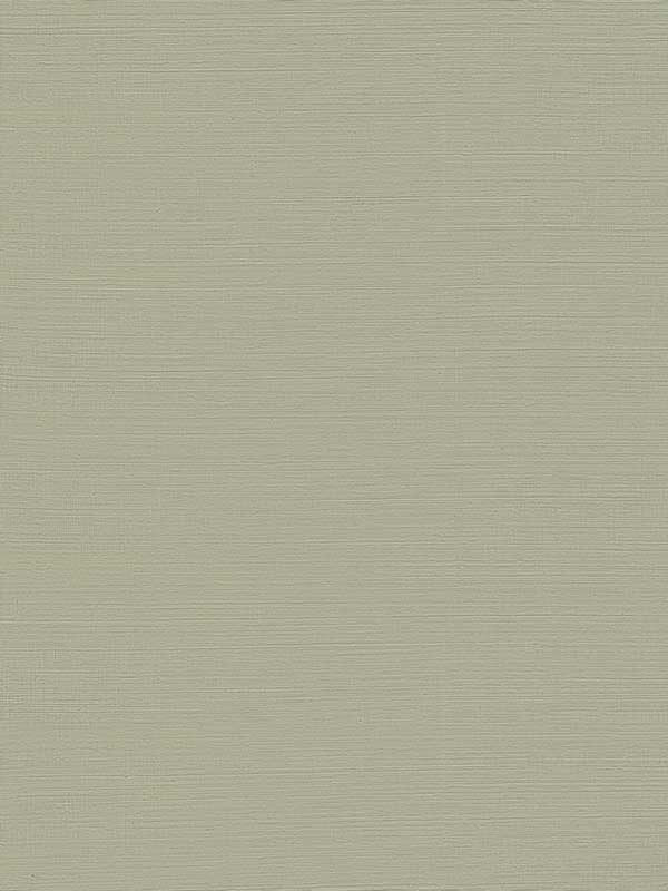 Maguey Sisal fabric in putty color - pattern number GV0175NW - by Ronald Redding in the Grasscloth and Natural Resource collection
