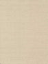 Maguey Sisal fabric in taupe color - pattern number NZ0791NW - by Ronald Redding in the Grasscloth and Natural Resource collection