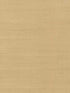 Maguey Sisal fabric in dove color - pattern number VG4402NW - by Ronald Redding in the Grasscloth and Natural Resource collection