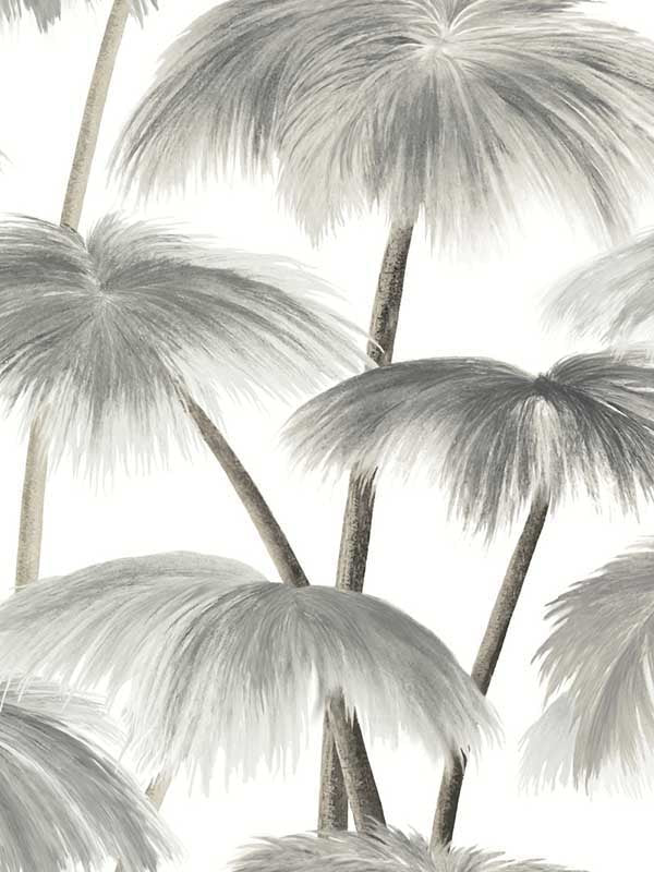 Plein Air Palms wallpaper in black and white color - pattern number LM5432 - by York Designer Series in the Lemieux et Cie Signature collection
