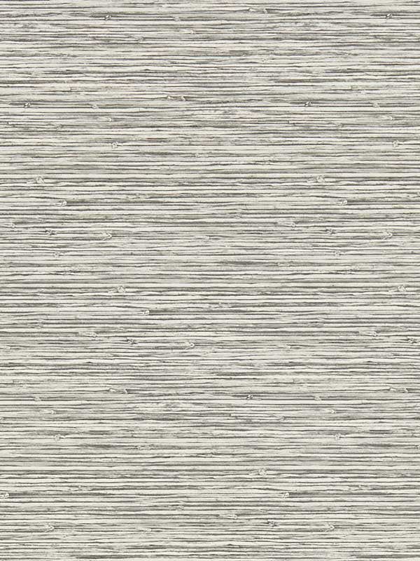 Xan fabric in dove color - pattern number W0192/02.CAC.0 - by Clarke and Clarke in the Breegan Jane Wallcoverings collection