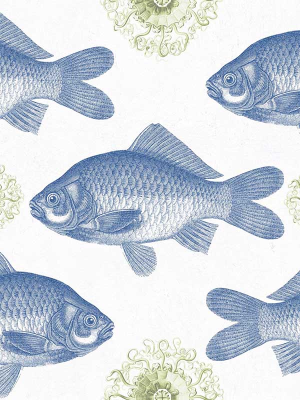 Fish wallpaper in blue blue color - pattern number WP20009 - by Mind the Gap in the Designer Collection I collection