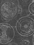 Horlogerie fabric in anthracite black and white color - pattern number WP20043 - by Mind the Gap in the Designer Collection I collection