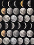 Moon Phases fabric in full pallette color - pattern number WP20066 - by Mind the Gap in the Designer Collection I collection
