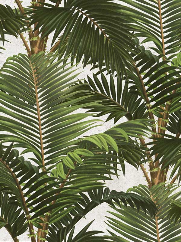 Jardin wallpaper in tropical green color - pattern number WP20104 - by Mind the Gap in the Designer Collection I collection