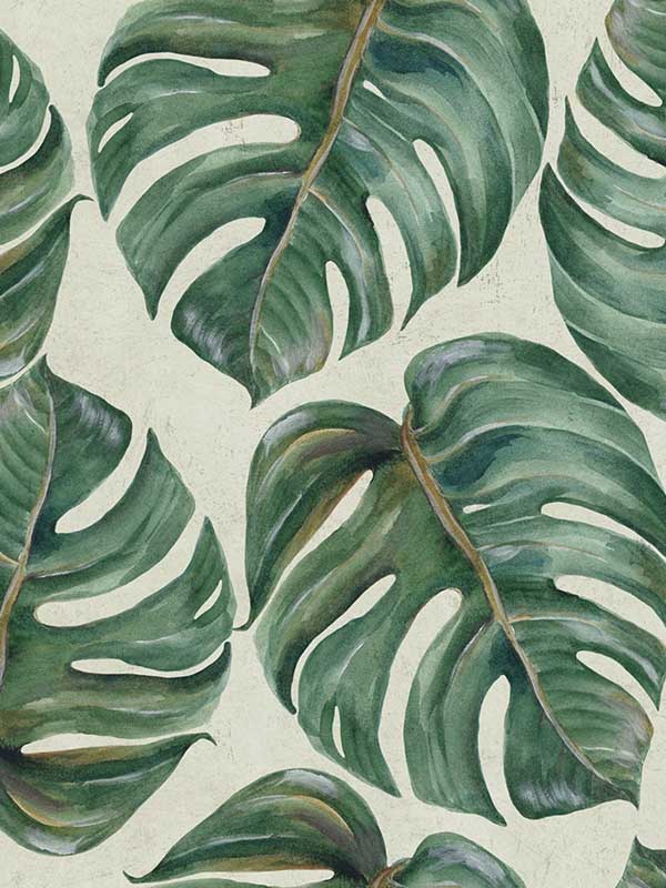 Tropical Leaf wallpaper in green color - pattern number WP20109 - by Mind the Gap in the Designer Collection I collection