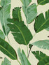 Banana Leaves wallpaper in green color - pattern number WP20111 - by Mind the Gap in the Designer Collection I collection
