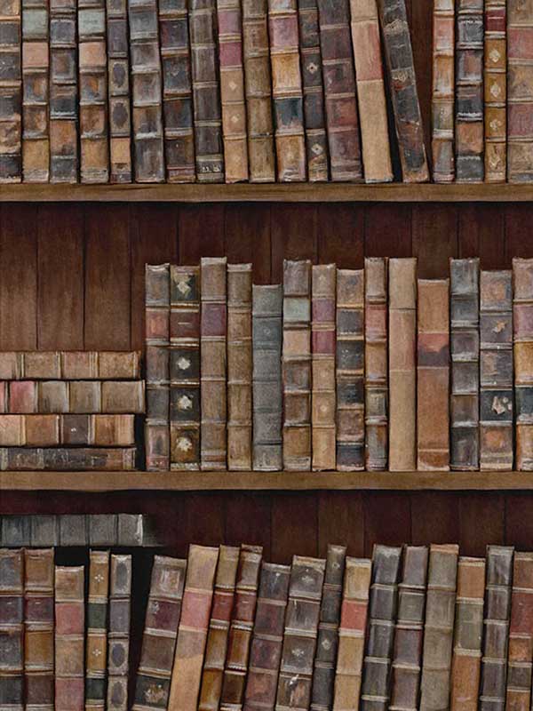 Book Shelves wallpaper in full pallette color - pattern number WP20112 - by Mind the Gap in the Designer Collection I collection