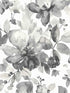 Watercolor Garden wallpaper in inkwell color - pattern number PR12700 - by Seabrook in the Seabrook Prepasted Wallpaper Assortment collection