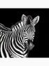 Zebra 3 Panel fabric in lucia color - pattern number TCW001TCAI5UZ005 - by Seabrook in the Dolce and Gabbana Casa N 1 collection