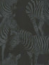 Zebra Romance fabric in misterioso color - pattern number TCW007TCAHOUZ018 - by Seabrook in the Dolce and Gabbana Casa N 1 collection
