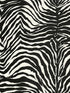 Zebra Dolce fabric in dante color - pattern number TCW007TCAI9UZ003 - by Seabrook in the Dolce and Gabbana Casa N 1 collection