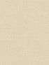 Hessian fabric in beige color - pattern number G67445 - by Patton Norwall in the Natural FX 2 collection