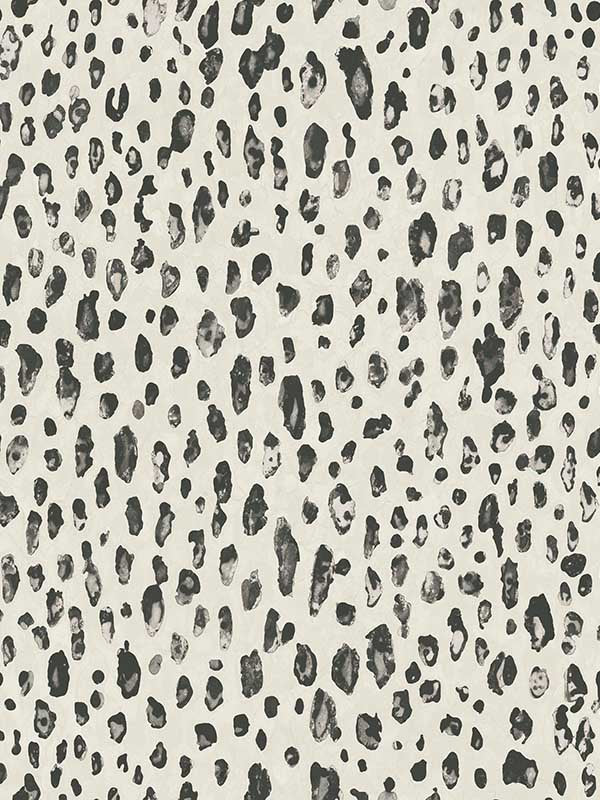 Mod Leopard Print fabric in white and black color - pattern number G67762 - by Patton Norwall in the Natural FX 2 collection