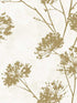 Dandelion Floral Peel and Stick fabric in metallic gold color - pattern number HG12105 - by NextWall in the Peel and Stick Wallpaper by Harry and Grace 3 collection