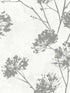 Dandelion Floral Peel and Stick fabric in metallic silver color - pattern number HG12108 - by NextWall in the Peel and Stick Wallpaper by Harry and Grace 3 collection