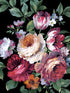 Large Bouquet Peel and Stick wallpaper in ebony and jewel box color - pattern number NW50600 - by NextWall in the Peel and Stick Wallpaper by Nextwall collection