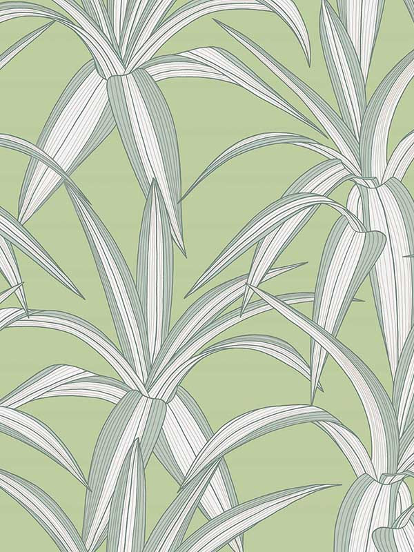 Tossed Cradle Plant Peel and Stick wallpaper in spring green color - pattern number NW51704 - by NextWall in the Peel and Stick Wallpaper by Nextwall collection