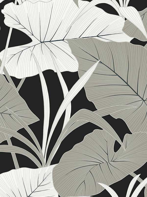 Elephant Leaves Peel and Stick wallpaper in ebony and metallic silver color - pattern number NW52000 - by NextWall in the Peel and Stick Wallpaper by Nextwall collection